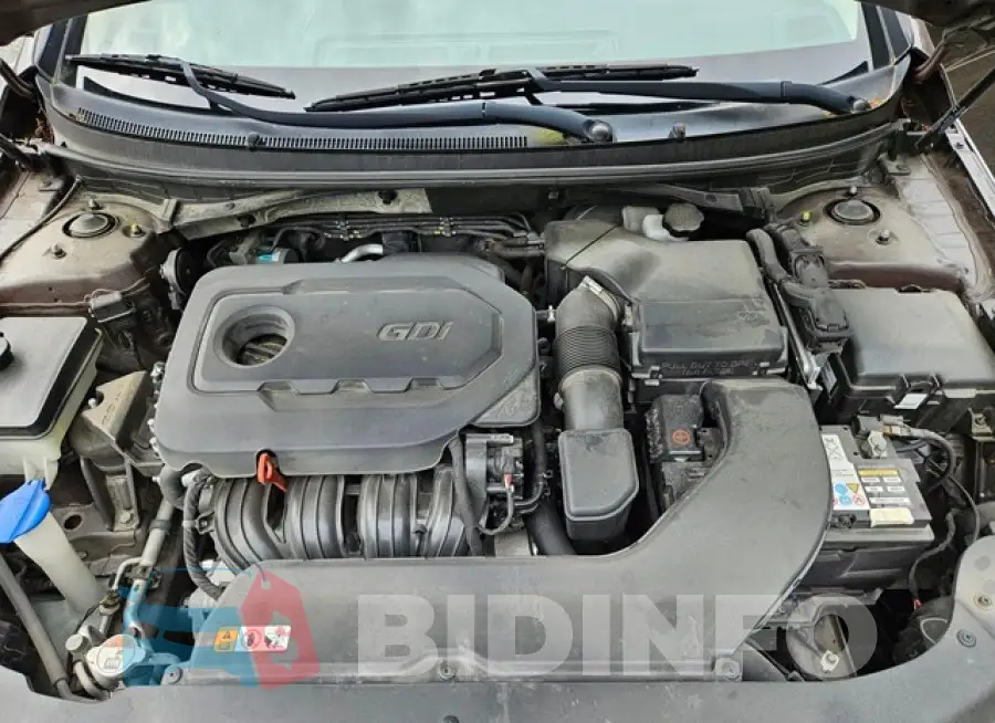 5NPE24AF7FH249935 Photo# 12