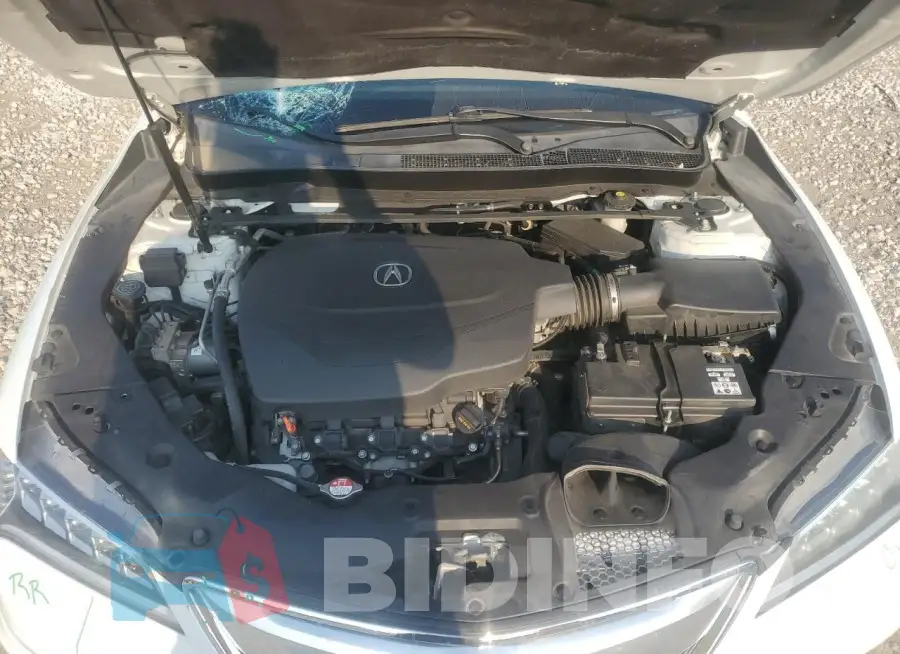 19UUB2F59FA008354 Photo# 11
