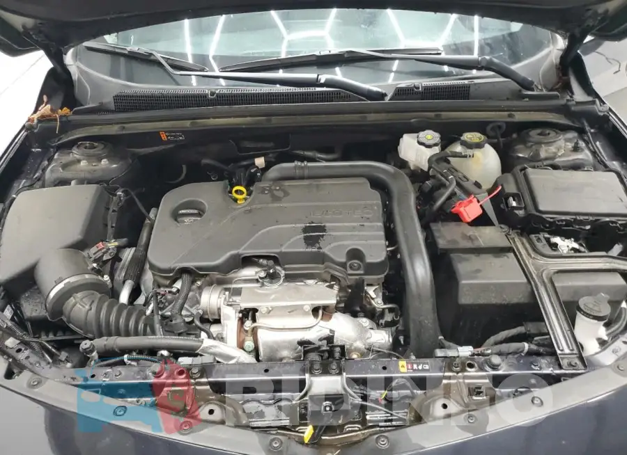 1G1ZD5ST8PF229624 Photo# 11