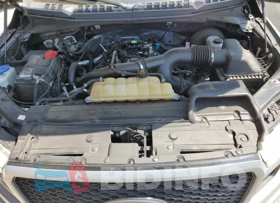 1FTEW1CP4KKC45765 Photo# 11