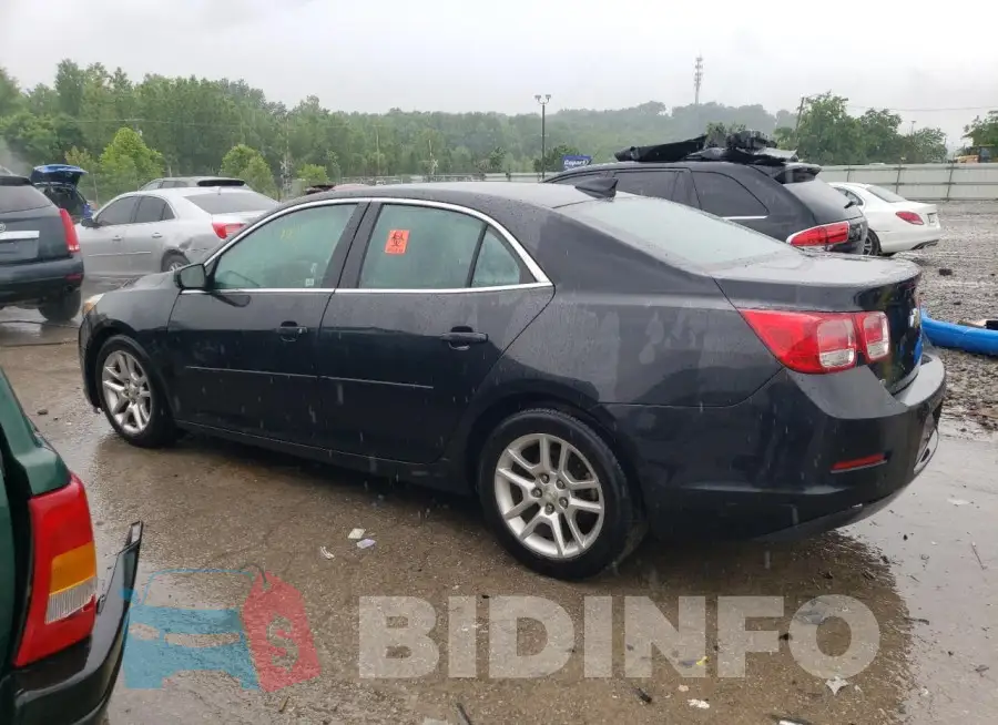1G11C5SL0FF300667 Photo# 2