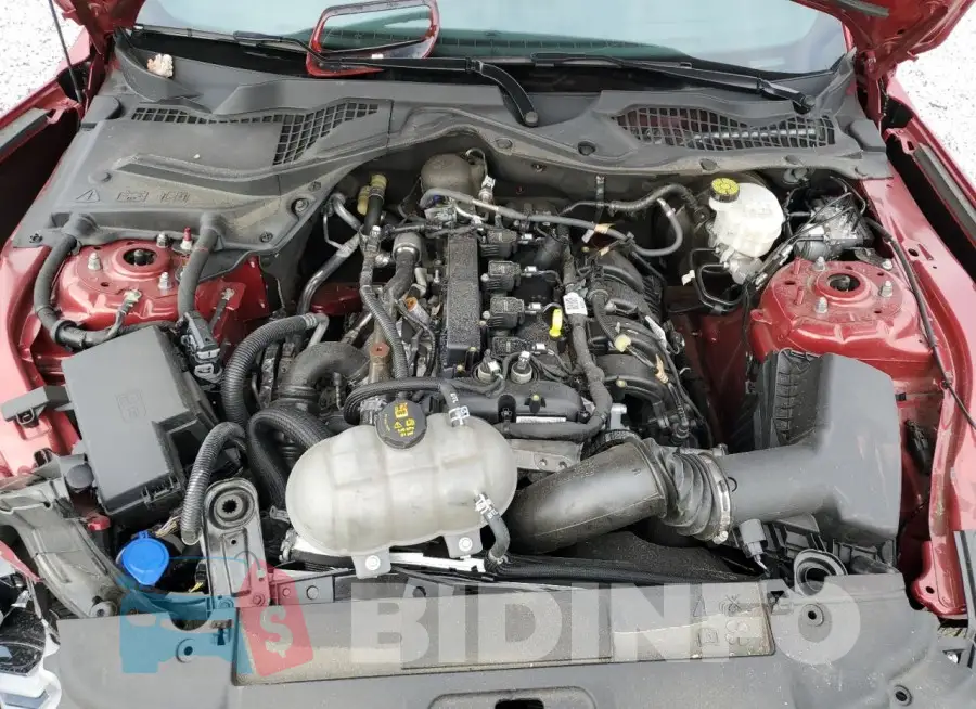 1FA6P8TH2M5128194 Photo# 11