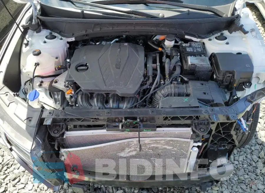 5NMJFCDE9RH385288 Photo# 11