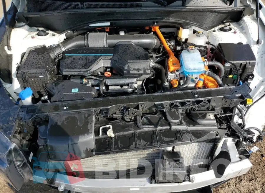 KM8S6DA29PU100823 Photo# 12