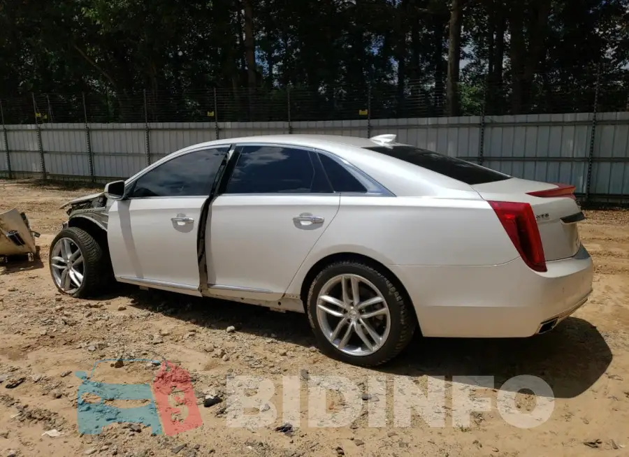 2G61M5S33H9158317 Photo# 2