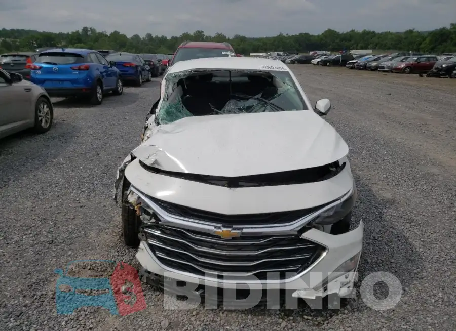 1G1ZD5ST1KF184339 Photo# 5