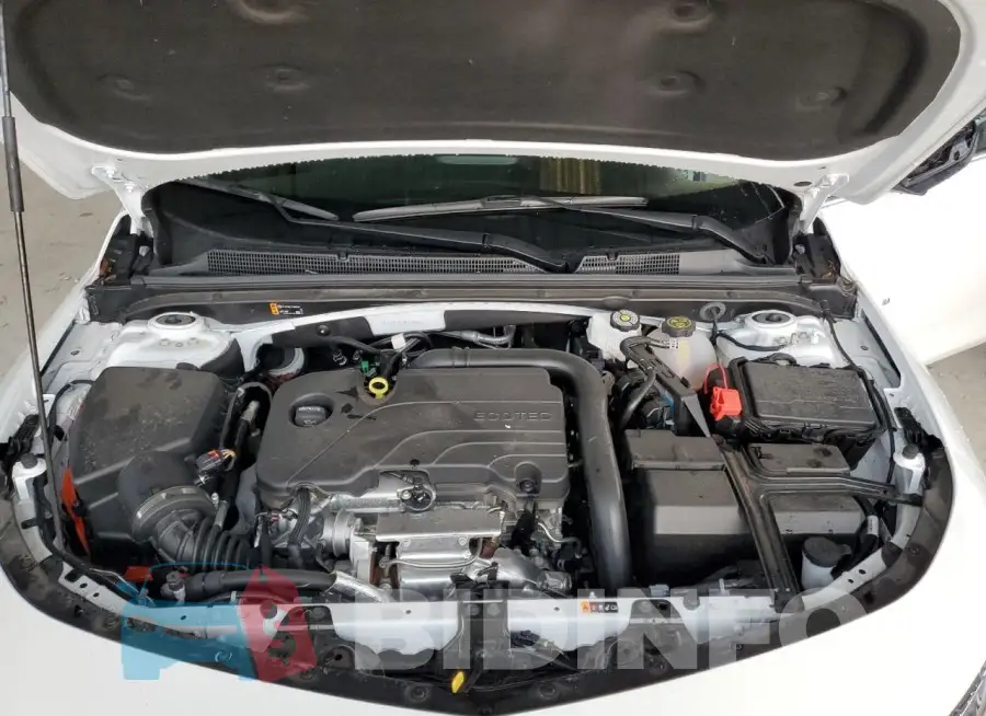 1G1ZD5ST5RF144968 Photo# 11