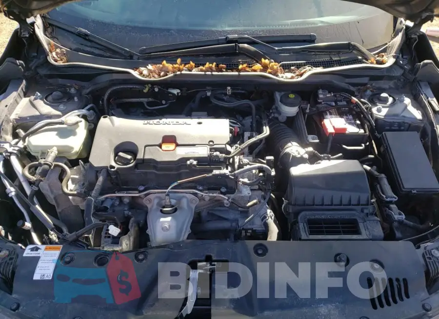 19XFC2F52HE202423 Photo# 11