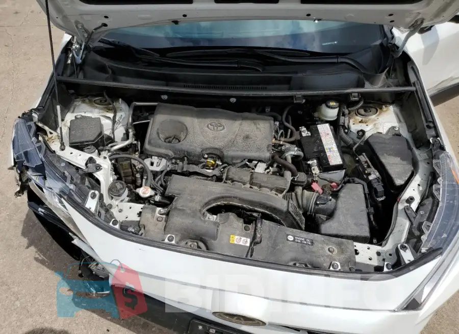 JTMN1RFV8MD071018 Photo# 12