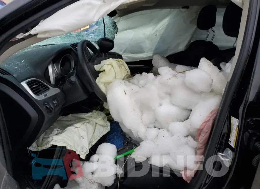 3C4PDCAB9LT262286 Photo# 7