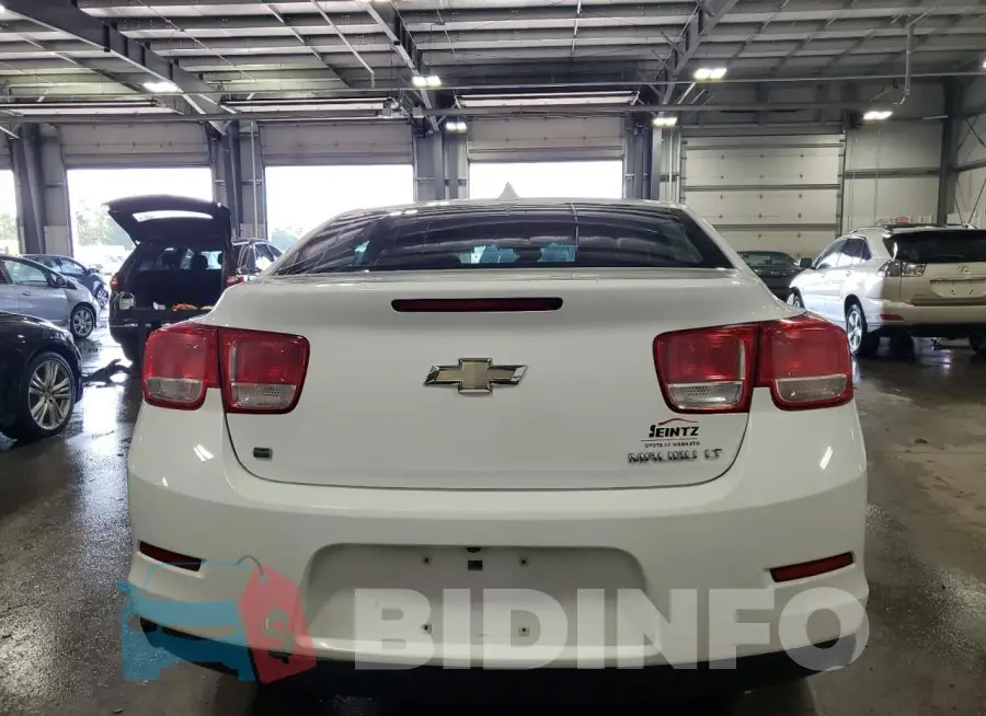 1G11D5SL4FF334463 Photo# 6