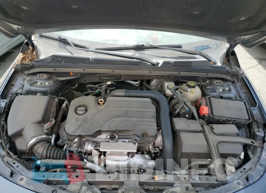 1G1ZD5ST4KF144790 Photo# 11
