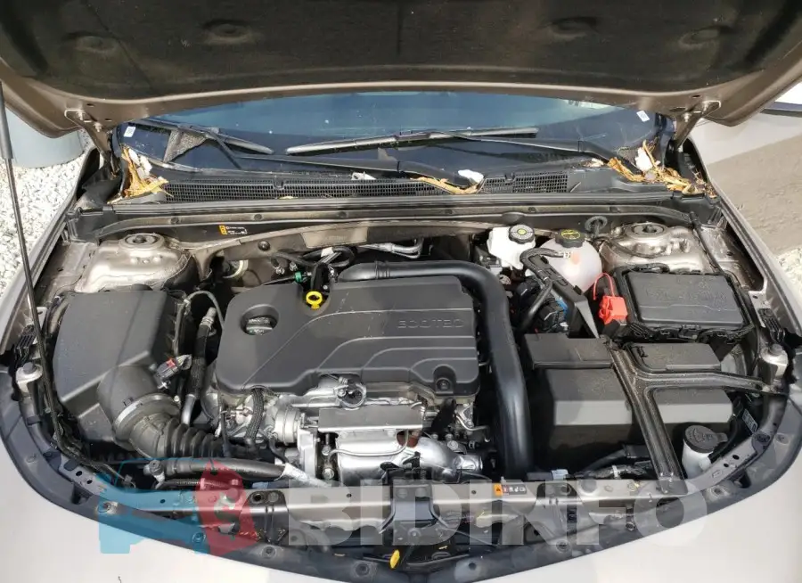 1G1ZD5ST5RF209480 Photo# 11