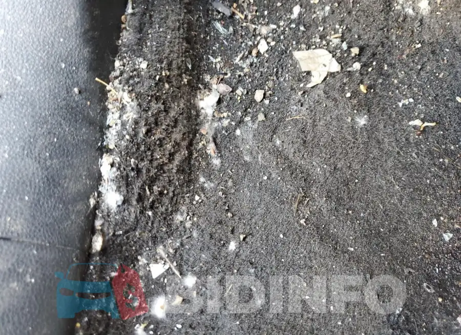 2GNFLFEK6G6280837 Photo# 13