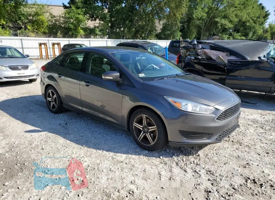 1FADP3F23GL240231 Photo# 4