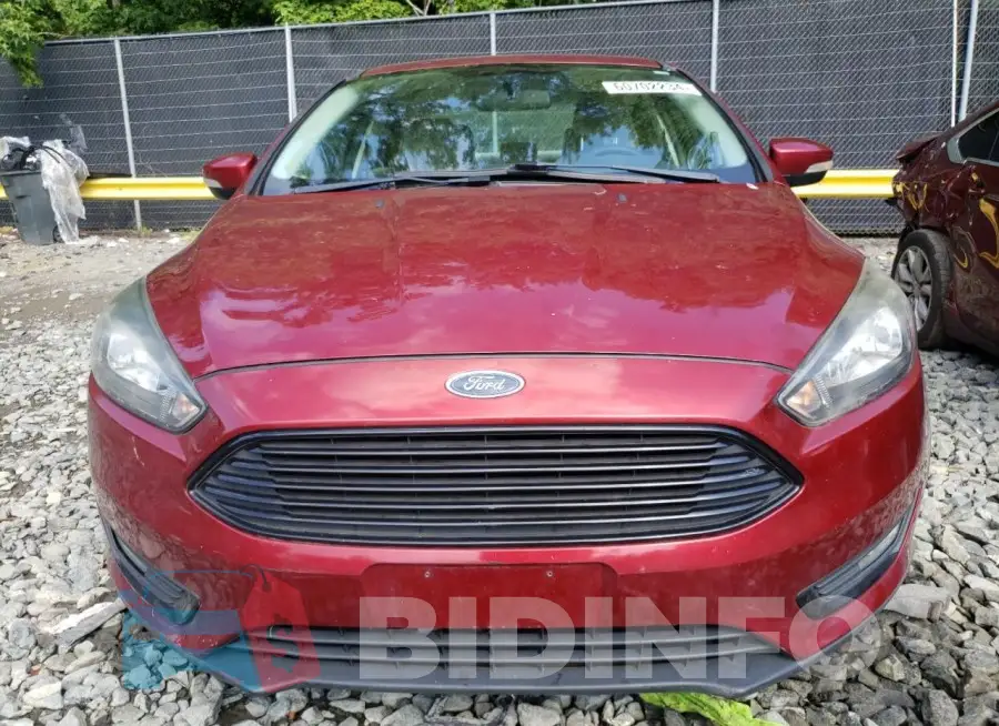 1FADP3FE0HL221163 Photo# 5
