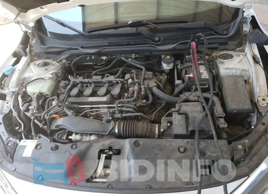 19XFC1F96GE043448 Photo# 11