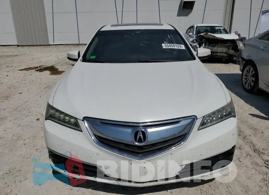19UUB2F58FA011584 Photo# 5