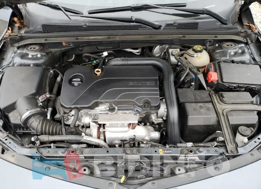 1G1ZD5ST5KF180438 Photo# 11