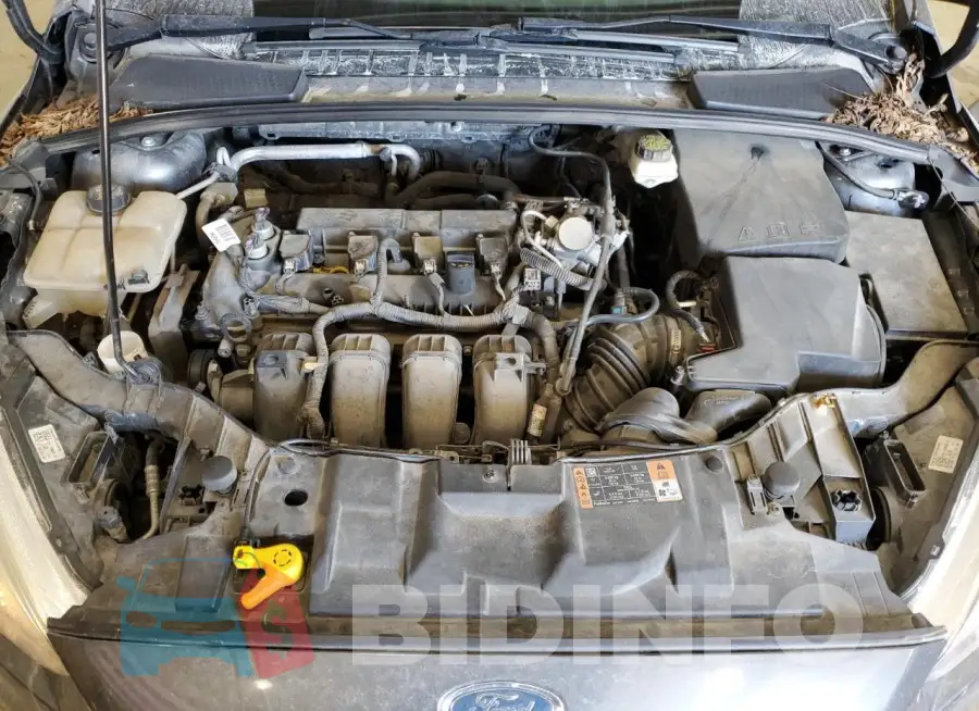 1FADP3F2XHL270411 Photo# 11