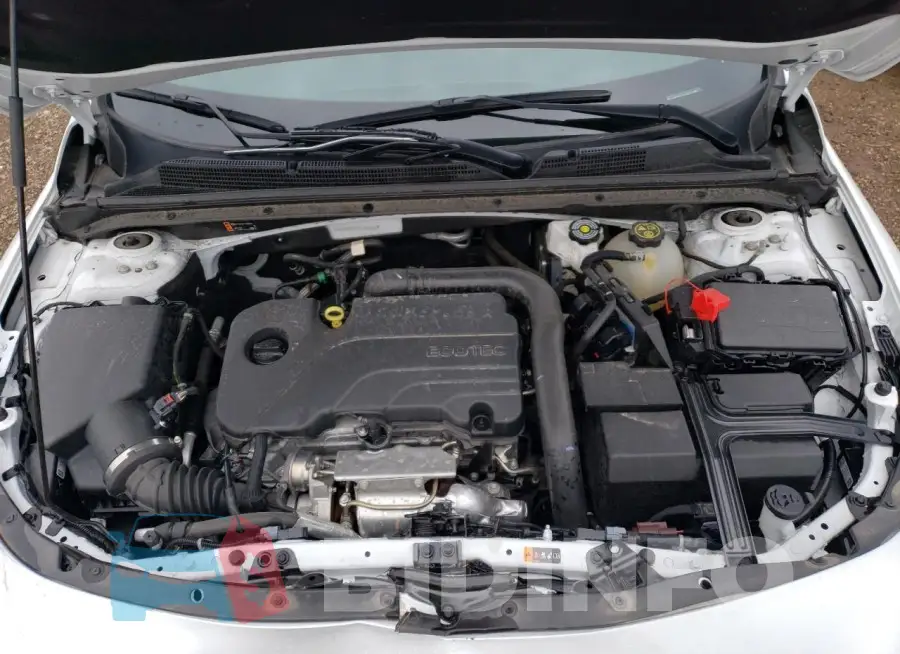 1G1ZD5ST1PF143992 Photo# 11