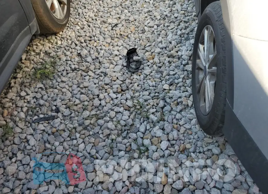 2GNALCEK0F6288682 Photo# 13