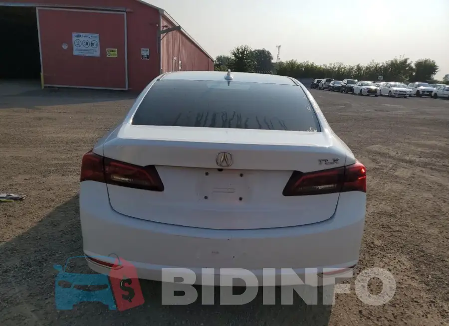 19UUB1F38GA800358 Photo# 6