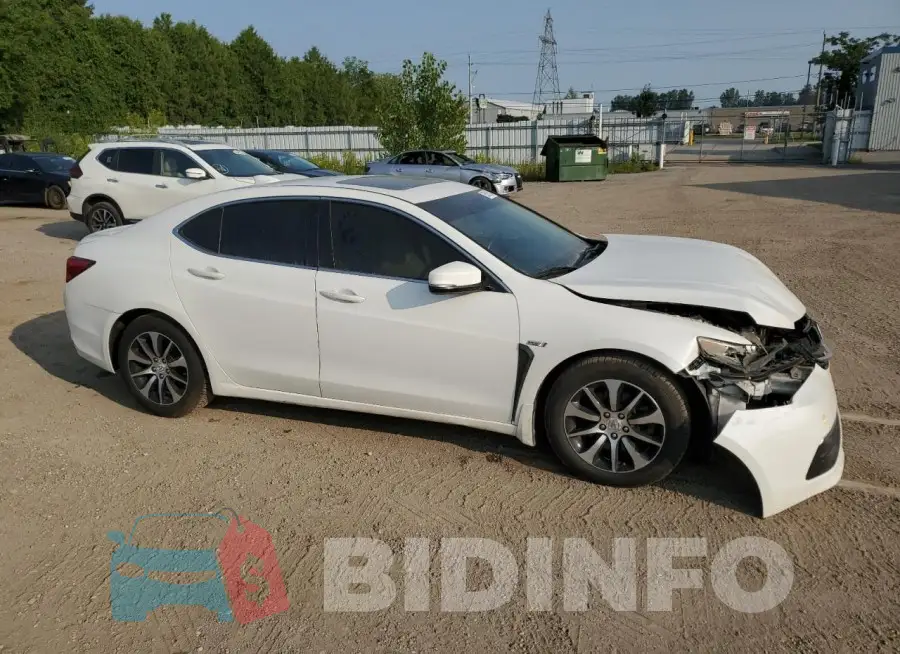 19UUB1F38GA800358 Photo# 4