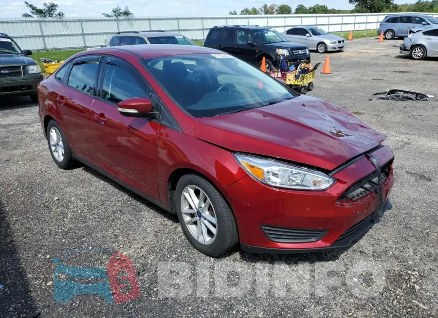 1FADP3F29HL243054 Photo# 4