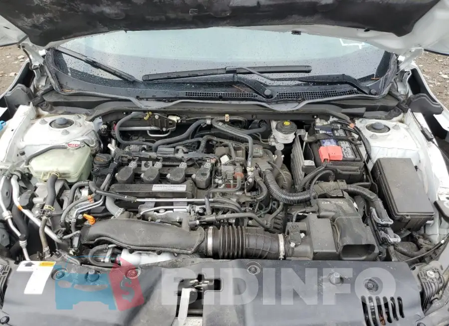 19XFC1F32KE206195 Photo# 11
