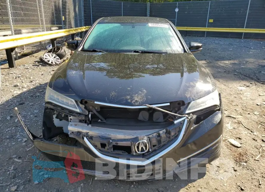 19UUB1F32FA004137 Photo# 5