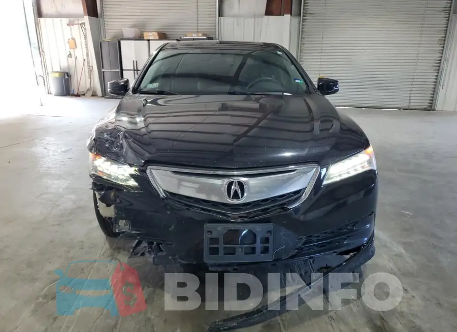 19UUB1F35FA014239 Photo# 5