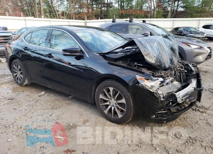 19UUB1F51FA013770 Photo# 4