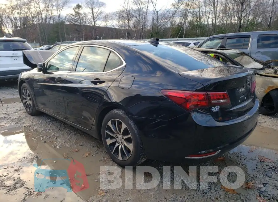 19UUB1F51FA013770 Photo# 2