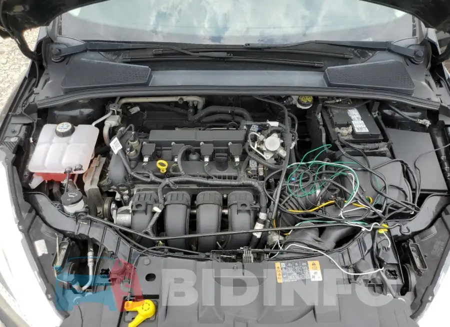 1FADP3F20GL379216 Photo# 11