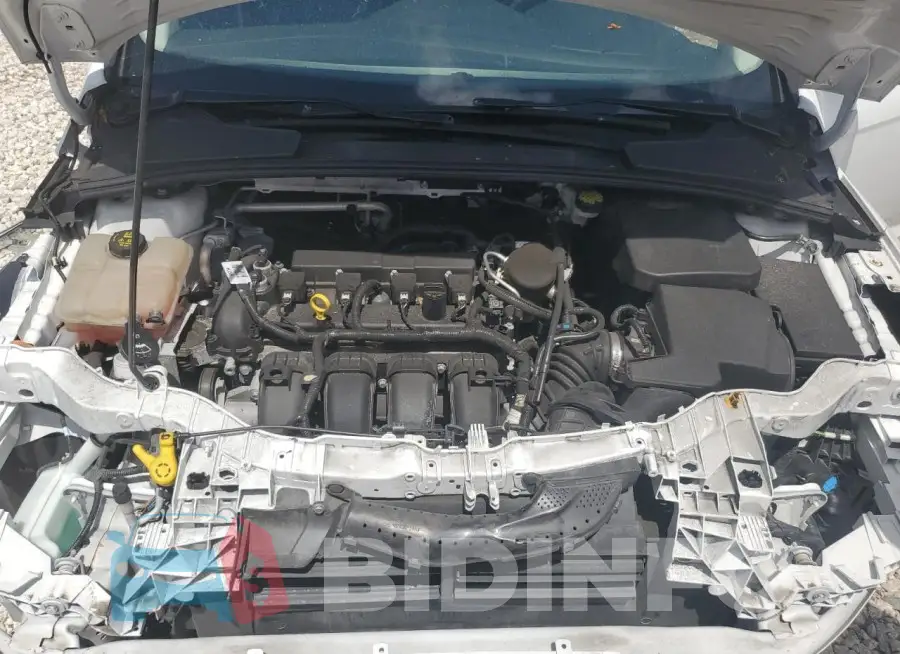 1FADP3F26GL291383 Photo# 11