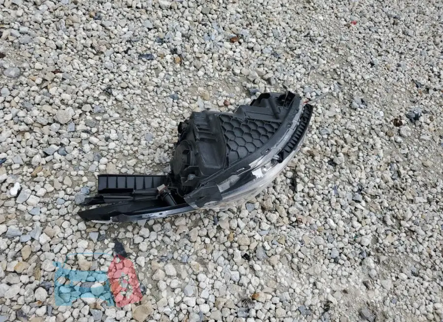 3KPC24A32KE066485 Photo# 12