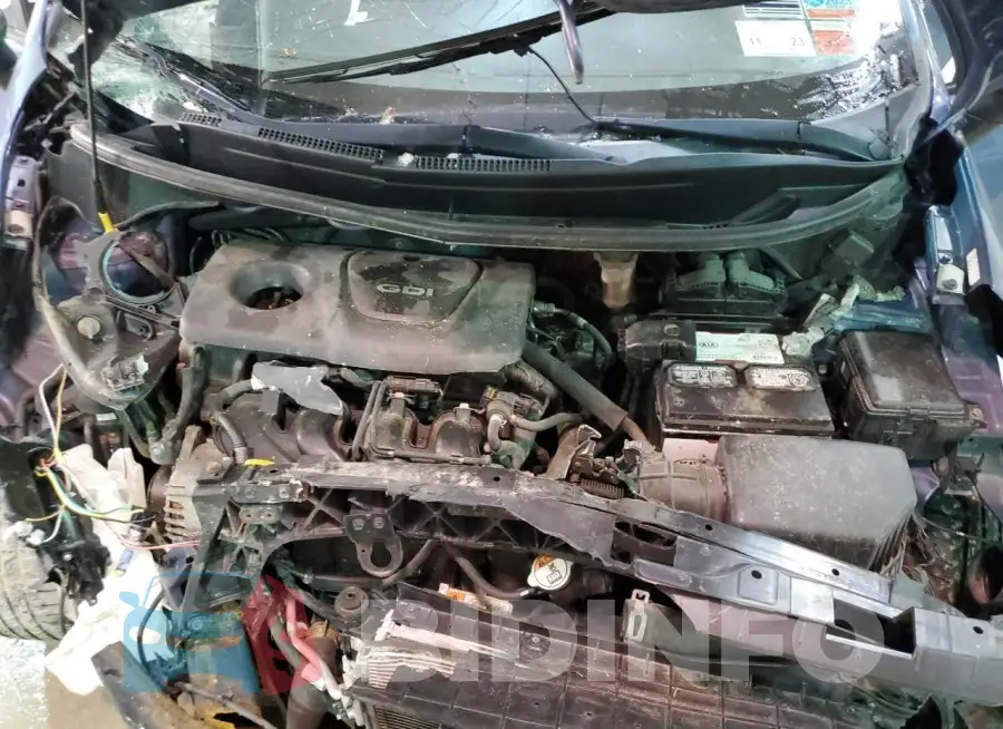 KNADM4A30G6684865 Photo# 11