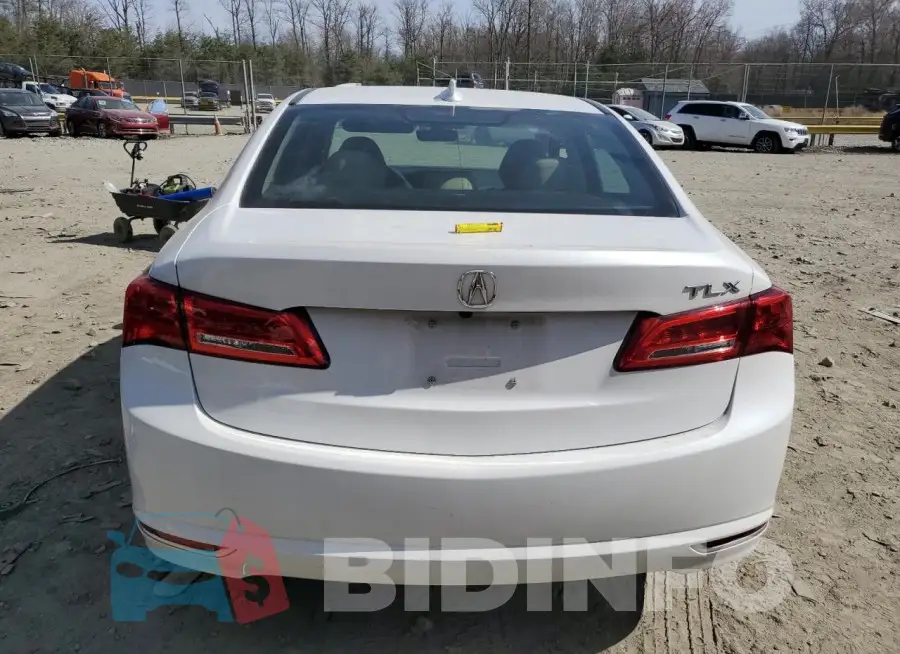 19UUB1F53KA008564 Photo# 6