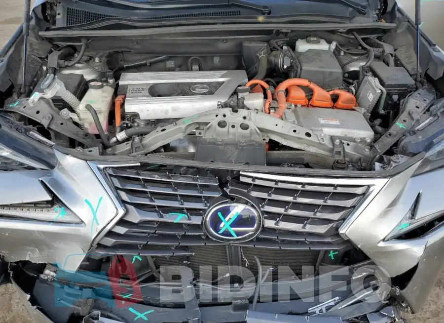 JTJGJRDZXM2162542 Photo# 11