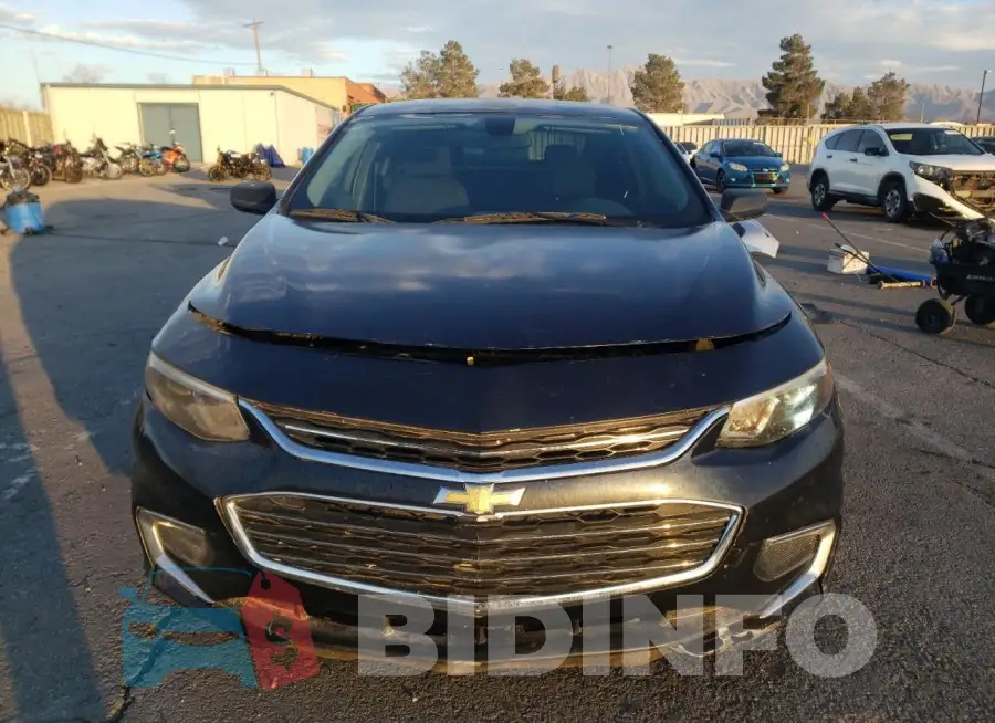1G1ZB5ST1HF244635 Photo# 5