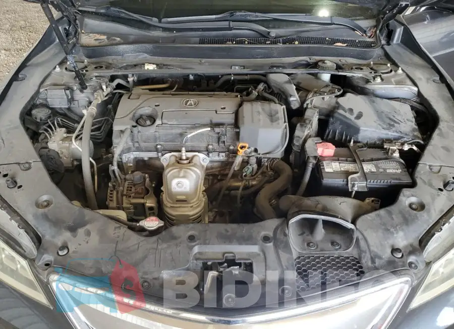19UUB1F56FA016096 Photo# 11
