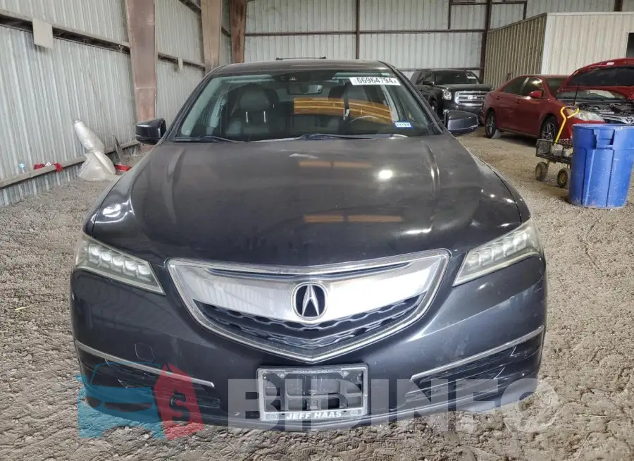 19UUB1F56FA016096 Photo# 5