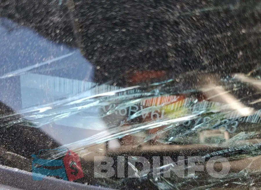 1N4AA6BV6LC378233 Photo# 12