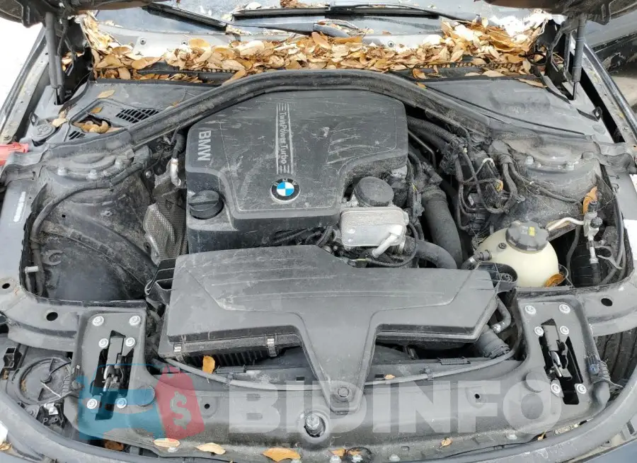 WBA8E1G55GNT34191 Photo# 11