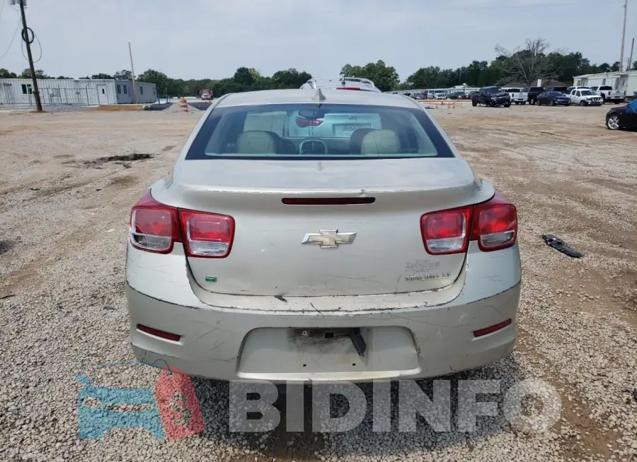 1G11D5SL4FF224495 Photo# 6
