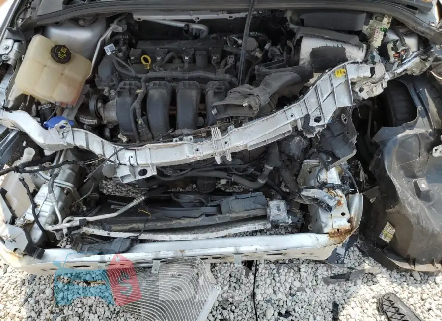 1FADP3F23GL390923 Photo# 11