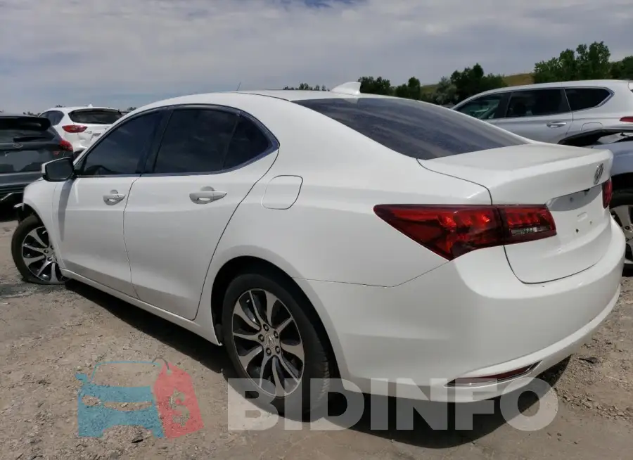 19UUB1F31FA025514 Photo# 2