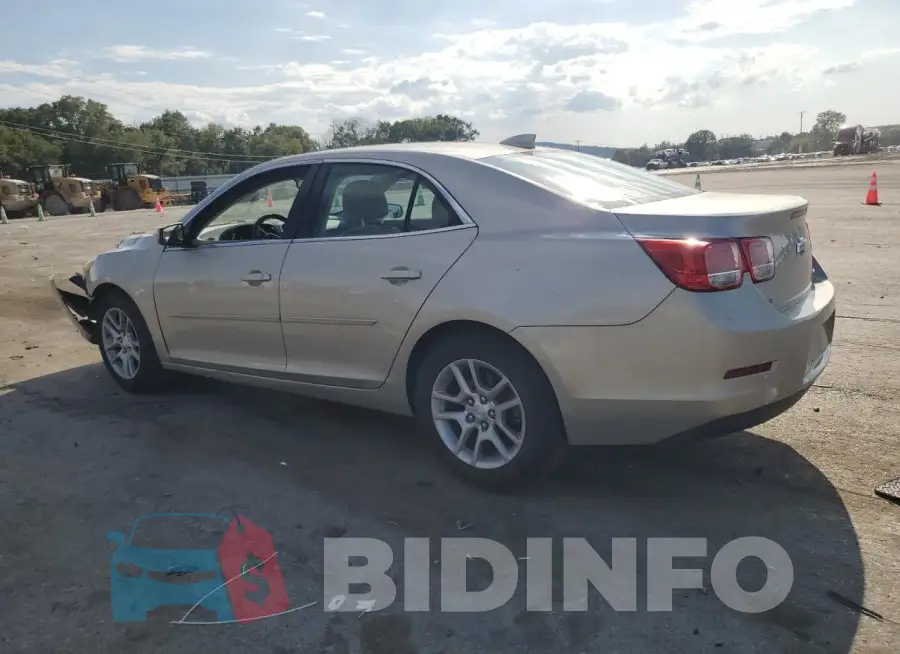 1G11C5SL8FF105982 Photo# 2