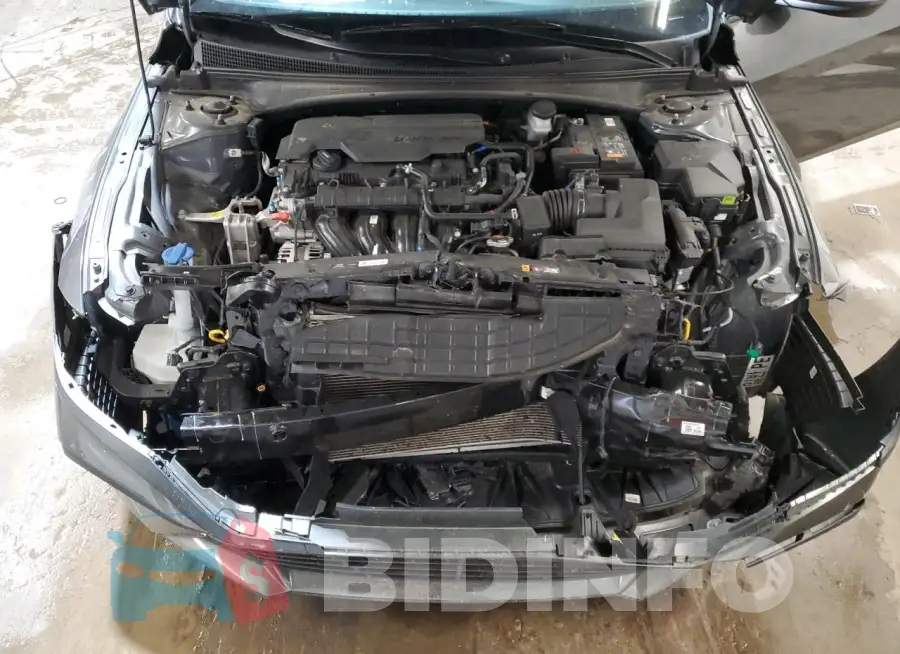 KMHLM4DG3RU644089 Photo# 11